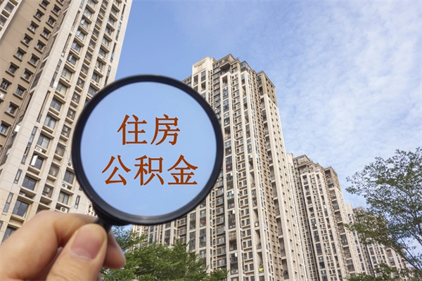 陕西深圳公积金（深圳公积金首页）